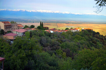 Fototapeta premium Georgia Republic - Sighnaghi