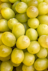 Green grape. Close up. Natural fruit background.