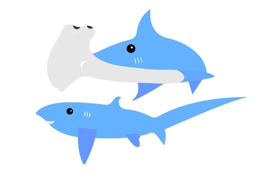Cartoon vector of Thresher Shark and Head-hammer Shark