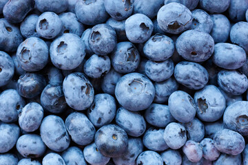 Fresh raw blueberry texture background, pattern image.