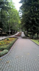 park
