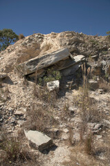 Macela Flowers in the Stone Hills in Brazil
