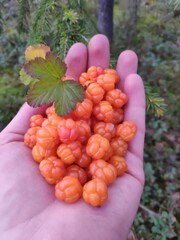 Плато Путорана / Plateu Putorana