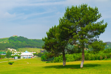 Early Summer scenery of Mulan grassland Scenic spot in Wuhan, Hubei Province, China