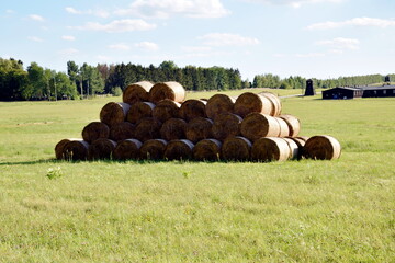 wielkie bele siana na polu © Pawe