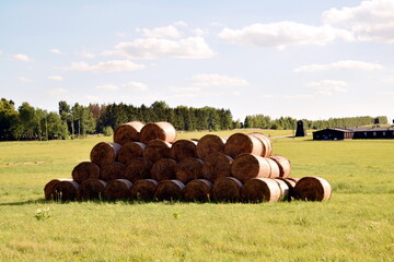 Wielkie bele siana na polu w południowym słońcu © Pawe
