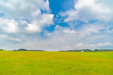 Early Summer scenery of Mulan grassland Scenic spot in Wuhan, Hubei Province, China