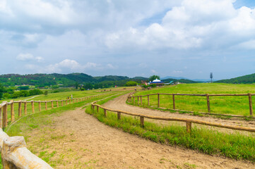 Fototapeta na wymiar Early Summer scenery of Mulan grassland Scenic spot in Wuhan, Hubei Province, China
