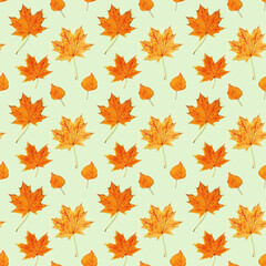 Seamless pattern from beautiful yellow autumnal leaves. Autumn season time.