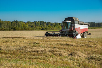 Obraz premium Harvester in the field autumn sunny day. Harvest.