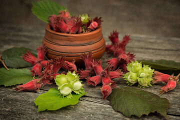 Fresh hazelnuts with leaves on a wooden background