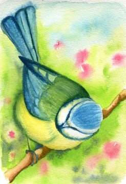 Hand painted watercolor tit sitting on the twig in the green summer garden