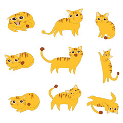 Cartoon cute cat character set in various poses. cartoon kitten dreaming, begging, standing, sitting, walking, catching, resting, scared, playing , set of yellow tabby kitty with white background 