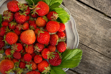 Ripe strawberries on a plate and an old wooden background on a sunny afternoon.