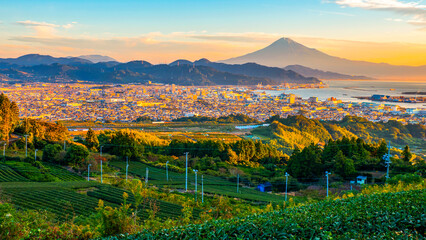 Sunrise over Fuji Mountain and green tea field 4