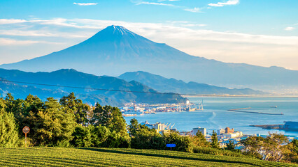 Sunrise over Fuji Mountain and green tea field 5