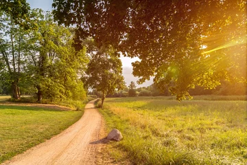 Stickers Weide Foot path in a beautiful green park (Jenischpark in Hamburg, Germany) on a sunny day in summer with scenic lens flare  © Calado