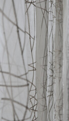 curtain backdrop with vertical wavy pattern