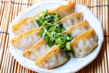 ネギかけ揚げ餃子