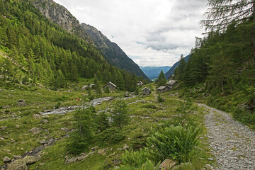 Fototapeta na wymiar Wanderweg im Göriachtal im Salzburger Lungau