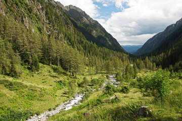 Fototapeta na wymiar Landschaft entlang eines Wanderwegs im Göriachtal