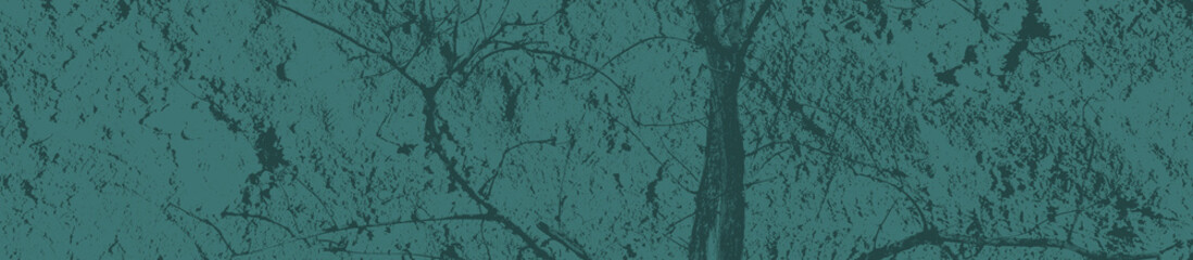 abstract aquamarine color background for design
