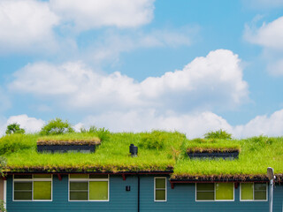 屋上緑化　エコ　環境