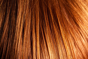 Fototapeta premium Close up of little girls long hair
