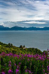 Obraz premium lake and mountains