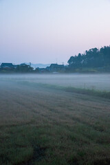 朝霧に包まれて