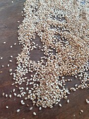 pebbles on the beach