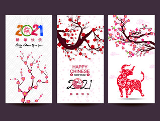 Happy chinese new year 2021 with cherry blossom flower year of the Ox