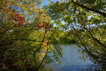 Fototapeta premium Mountain Lake in Early Autumn Sunlight, Nagano, Japan