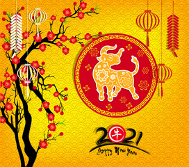 Happy chinese new year 2021 with cherry blossom flower year of the Ox