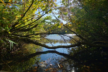 Mountain Lake in Early Autumn Sunlight, Nagano, Japan