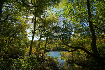 Obraz premium Mountain Lake in Early Autumn Sunlight, Nagano, Japan