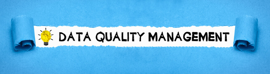 Data Quality Management 