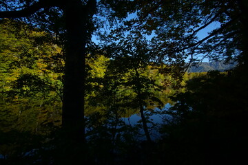 Obraz premium Mountain Lake in Early Autumn Sunlight, Nagano, Japan