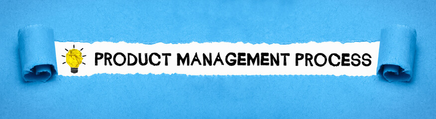 Product Management Process