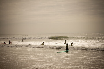 surfeur dans les vagues sur une plage en &eacute;t&eacute;