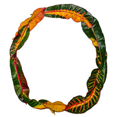 Letter O from English alphabet made from variegated leaves on white background. Nature themed font - autumn, summer, spring - seasonal colors