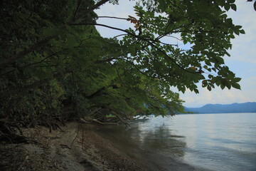 湖のほとり　田沢湖