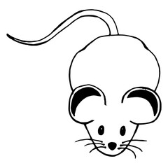 Mouse hand drawn. Vector illustration of cartoon mouse. Funny rat.