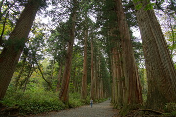 beautiful nature landscape in the famous shrine in Togakushi, Nagano, Japan