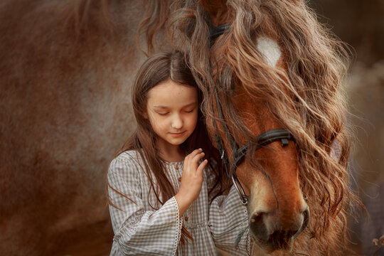 Little girl with red tinker horse (Gypsy cob) in summer evening field