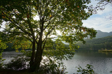 Obraz premium beautiful landscape view of mountain, lake, and trees