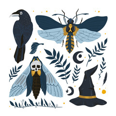 Raven, butterfly dead head, witch hat, moon, branches. Halloween Set. Hand Drawn Cartoon Doodles. Vector illustration. Social media post. Design for greeting card, sticker, party invitation.