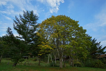 Beautiful natural landscape in countryside of Japan between summer and Autumn