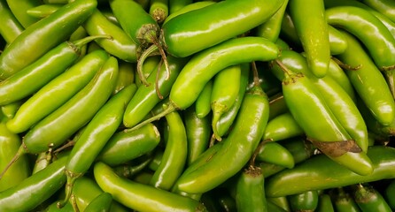 Serrano chili peppers on a market stand, close up full frame image. Capsicum annuum species that is widely cultivated in North and South America.