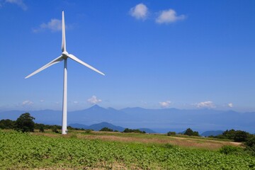 布引風の高原・ひまわり（福島県・郡山市）